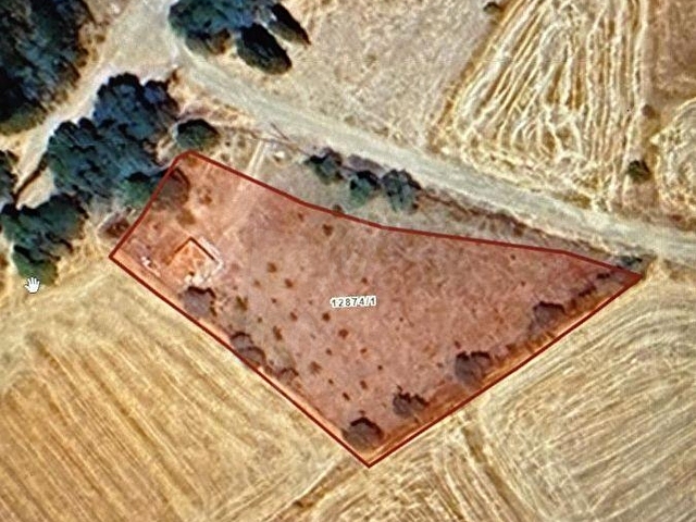 HÖBEKTE İÇERİSİNDE 1+0 EV OLAN 100 AĞAÇLI 3.134 m² TARLA - Görsel 4