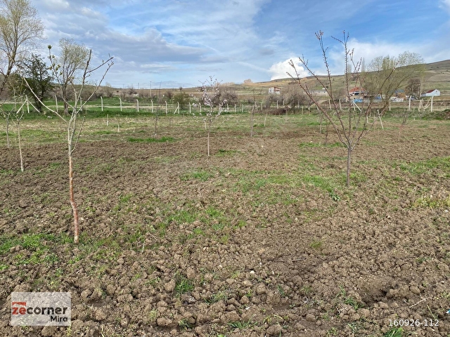 HÖBEKTE İÇERİSİNDE 1+0 EV OLAN 100 AĞAÇLI 3.134 m² TARLA - Görsel 10