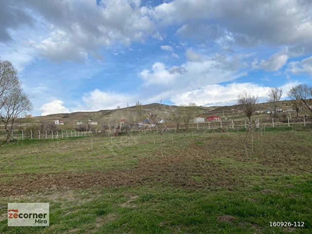 HÖBEKTE İÇERİSİNDE 1+0 EV OLAN 100 AĞAÇLI 3.134 m² TARLA - Görsel 17