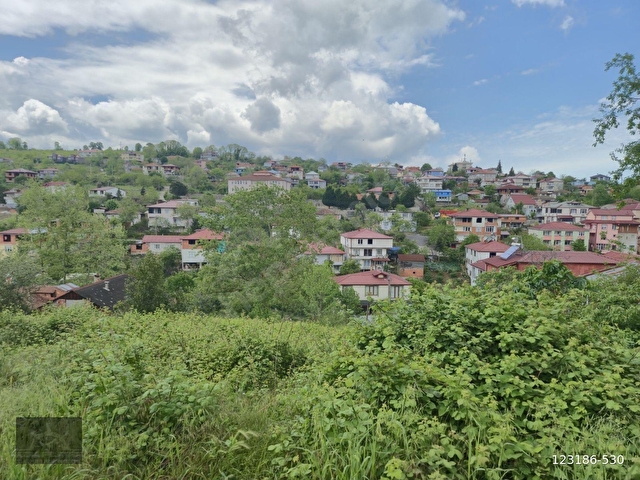 Adaplatinden Kocaali Yenide 460m2 arsa %35 3 kat manzaralı