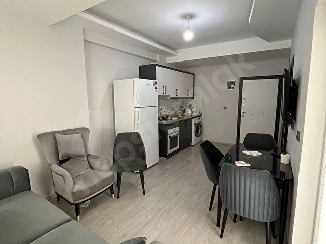 SARIÇAMDA GÜZEL KONUMLU LÜKS EŞYALI KİRALIK 1+1 DAİRE