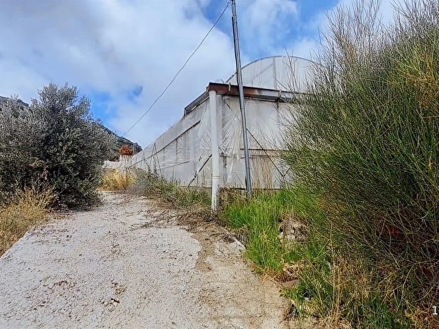 ADRASAN DA DOĞA VE DENİZ MANZARALI MUHTEŞEM ÇİFTLİK EVİ - Görsel 14