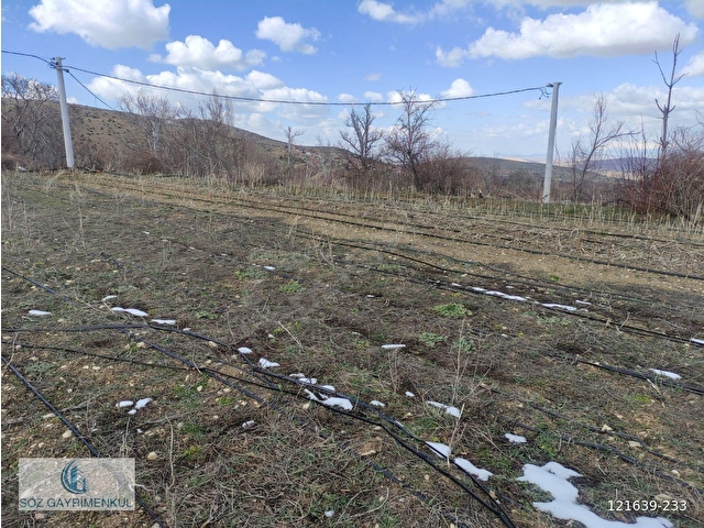 Büyükdede mah. 2000m² Yazlık Bahçe - Görsel 19