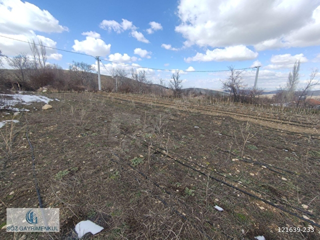 Büyükdede mah. 2000m² Yazlık Bahçe - Görsel 22