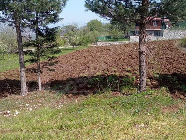 Saitabat köyü Şato evin karşısında satılık arsa - Görsel 4
