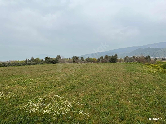 FIRSAT ÇİFTLİK VE TARIM ARAZİSİ - Görsel 9