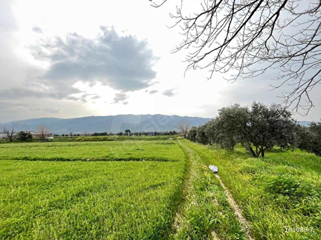 FIRSAT ÇİFTLİK VE TARIM ARAZİSİ - Görsel 6