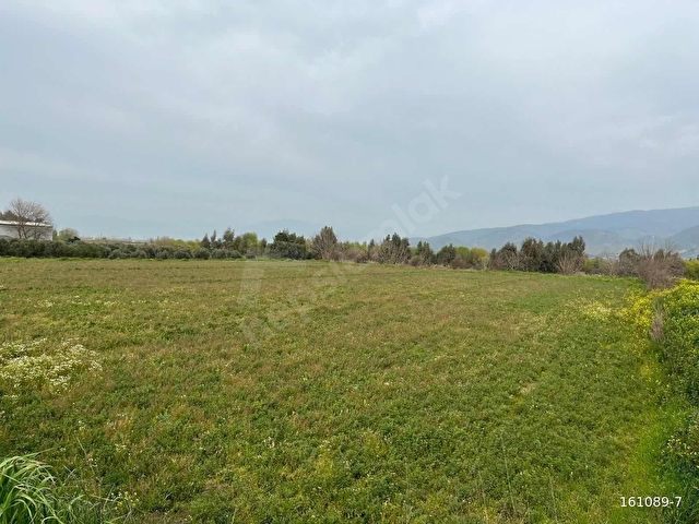 FIRSAT ÇİFTLİK VE TARIM ARAZİSİ - Görsel 12