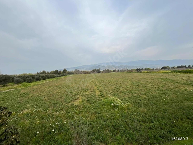 FIRSAT ÇİFTLİK VE TARIM ARAZİSİ - Görsel 8