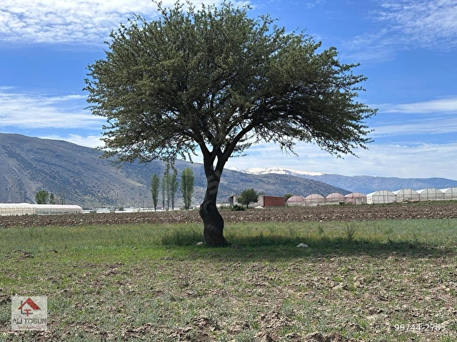 ALİ TOSUNDAN ÇUKURELMADA 826M² YATIRIMLIK KUPON ARAZİMİZ - Görsel 5