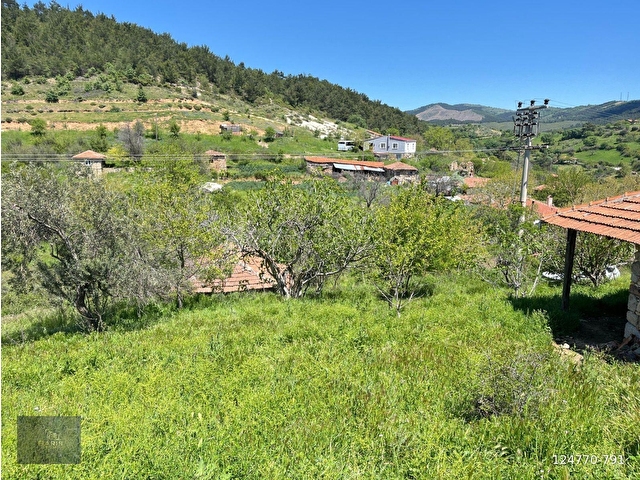ÇANAKKALE BAYRAMİÇ KURŞUNLU KÖYÜNDE DOĞAL YAŞAM ALANI - Görsel 25