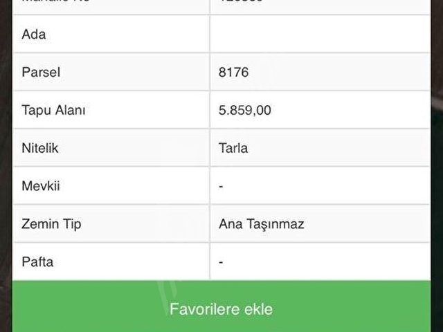 KILBASANDA SATILIK 5.859 M2 TARLA ( SU VAR - RESMİ YOLU VAR ) - Görsel 2