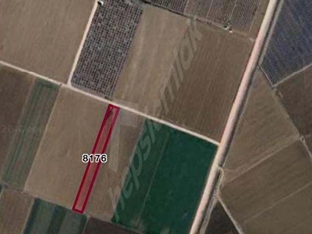 KILBASANDA SATILIK 5.859 M2 TARLA ( SU VAR - RESMİ YOLU VAR )