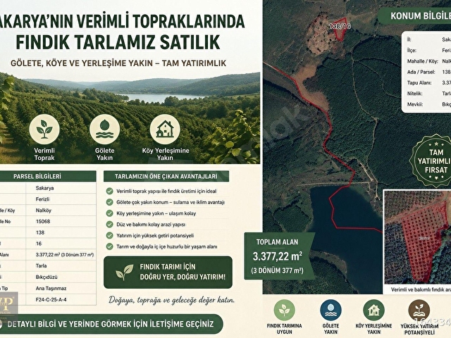 DOĞAYLA İÇ İÇE GÖLETE YAKIN FIRSAT FINDIK TARLAMIZ SATIŞTA....