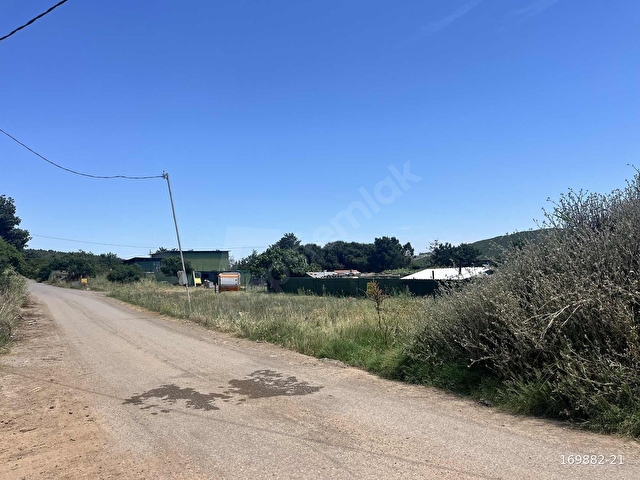 Çözüm den acil satılık 2 parsel 440 m2 - Görsel 10