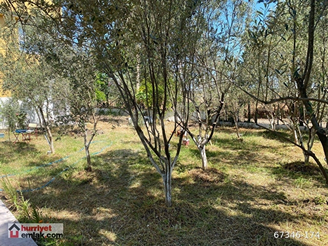 AK EMLAKTAN 650 m2 ARSA İÇİNDE 6 artı 1 MÜSTAKİL BAHÇELİ EV 67346174