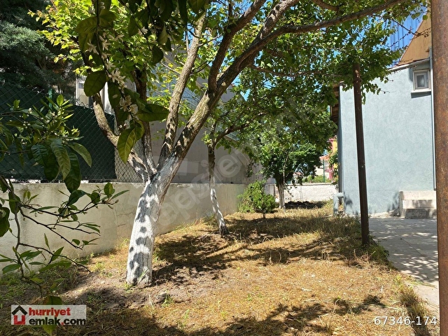 AK EMLAKTAN 650 m2 ARSA İÇİNDE 6 artı 1 MÜSTAKİL BAHÇELİ EV 67346174