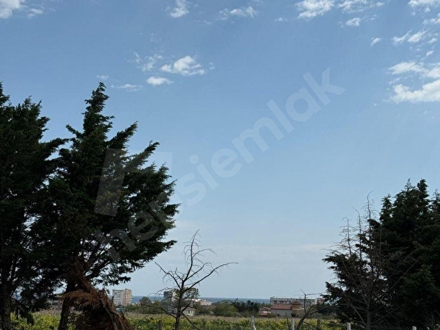 CELALİYEDE DENİZ MANZARALI, 3 KAT İMARLI KÖŞE PARSEL ARSA - Görsel 30