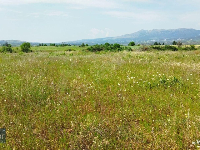ŞEHZADEDEN ÇAL/KOCAKÖYDE 13.068 M2 SATILIK MÜSTAKİL TAPULU BAĞ - Görsel 9