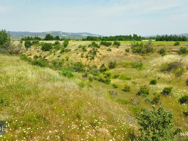 ŞEHZADEDEN ÇAL/KOCAKÖYDE 13.068 M2 SATILIK MÜSTAKİL TAPULU BAĞ - Görsel 14