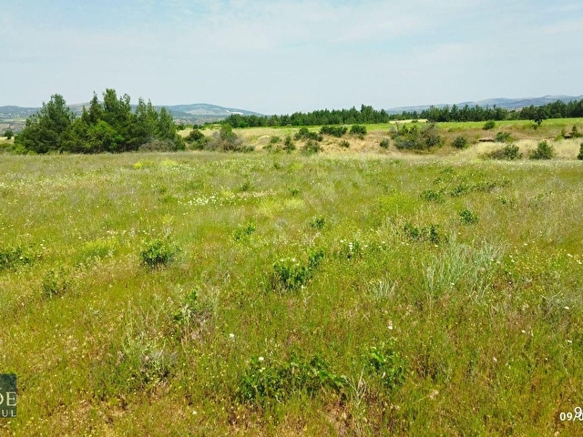 ŞEHZADEDEN ÇAL/KOCAKÖYDE 13.068 M2 SATILIK MÜSTAKİL TAPULU BAĞ - Görsel 6