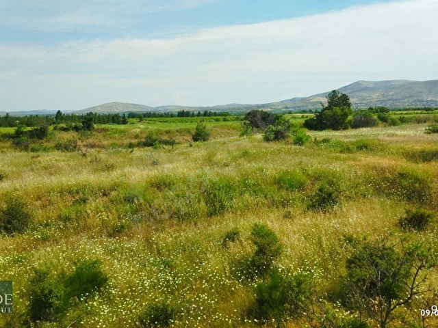ŞEHZADEDEN ÇAL/KOCAKÖYDE 13.068 M2 SATILIK MÜSTAKİL TAPULU BAĞ - Görsel 23