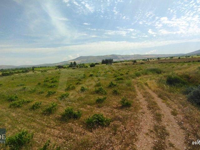 ŞEHZADEDEN ÇAL/KOCAKÖYDE 13.068 M2 SATILIK MÜSTAKİL TAPULU BAĞ - Görsel 30
