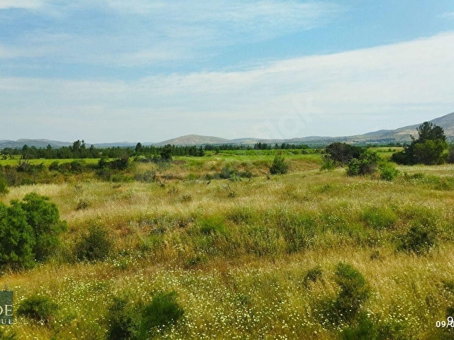 ŞEHZADEDEN ÇAL/KOCAKÖYDE 13.068 M2 SATILIK MÜSTAKİL TAPULU BAĞ - Görsel 24