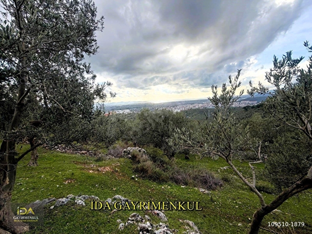 İDA GAYRİMENKULDEN EDREMİT TOKİ CİVARI İMARA 175 MT MESAFEDE FULL DENİZ MANZARALI FIRSAT  ZEYTİNLİK - Görsel 10