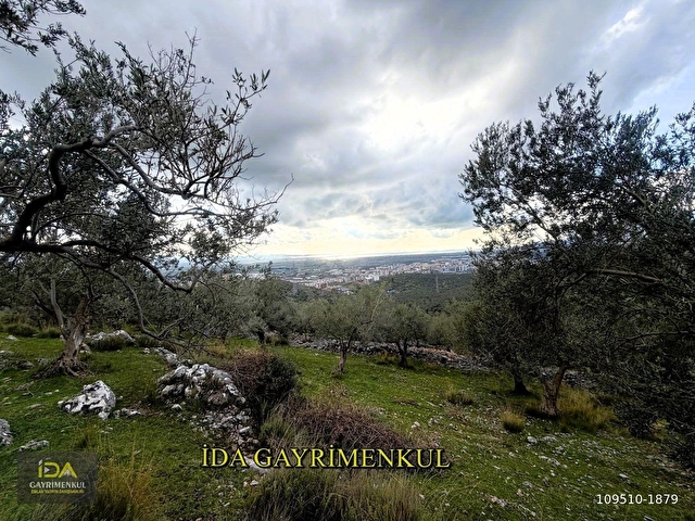İDA GAYRİMENKULDEN EDREMİT TOKİ CİVARI İMARA 175 MT MESAFEDE FULL DENİZ MANZARALI FIRSAT  ZEYTİNLİK - Görsel 7