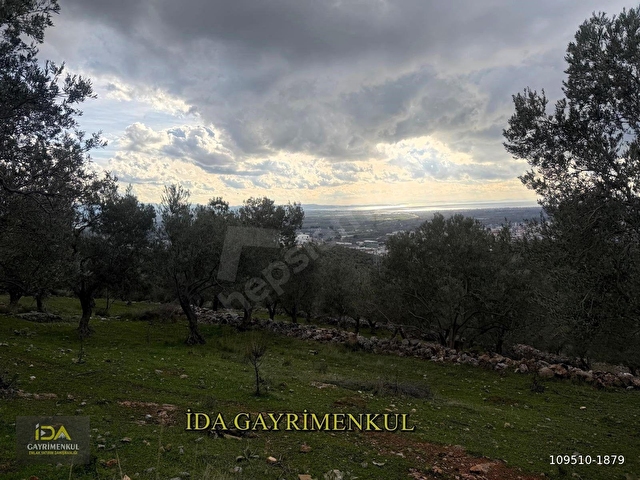İDA GAYRİMENKULDEN EDREMİT TOKİ CİVARI İMARA 175 MT MESAFEDE FULL DENİZ MANZARALI FIRSAT  ZEYTİNLİK - Görsel 2