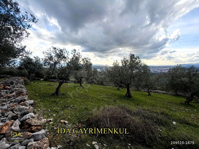 İDA GAYRİMENKULDEN EDREMİT TOKİ CİVARI İMARA 175 MT MESAFEDE FULL DENİZ MANZARALI FIRSAT  ZEYTİNLİK - Görsel 23