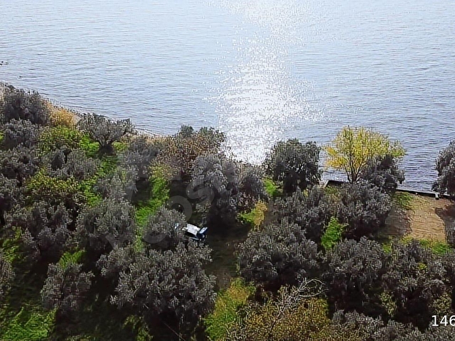 YALOVA ARMUTLU KAPAKLI DENİZE SIFIR ZEYTİNLİK - Görsel 15