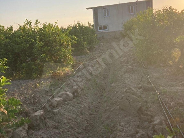 EGEMENDEN MERSİN -SİLİFKE-ARKUM DA 10 000 M2 ARSA-TARLA-BAHÇE MÜSTAKİL TAPULU ACELE SATILIK.. - Görsel 29