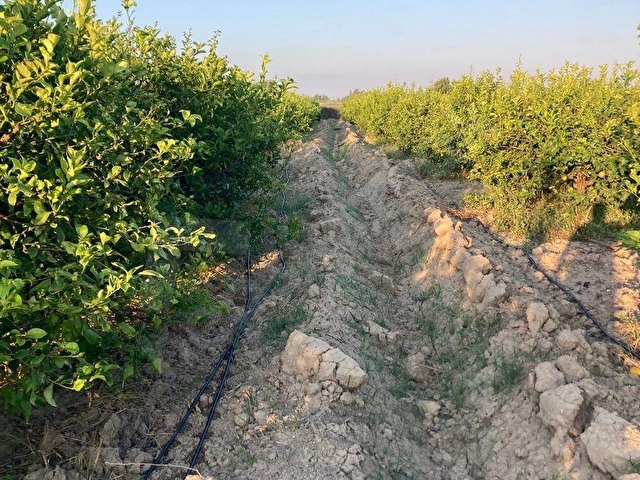 EGEMENDEN MERSİN -SİLİFKE-ARKUM DA 10 000 M2 ARSA-TARLA-BAHÇE MÜSTAKİL TAPULU ACELE SATILIK.. - Görsel 23