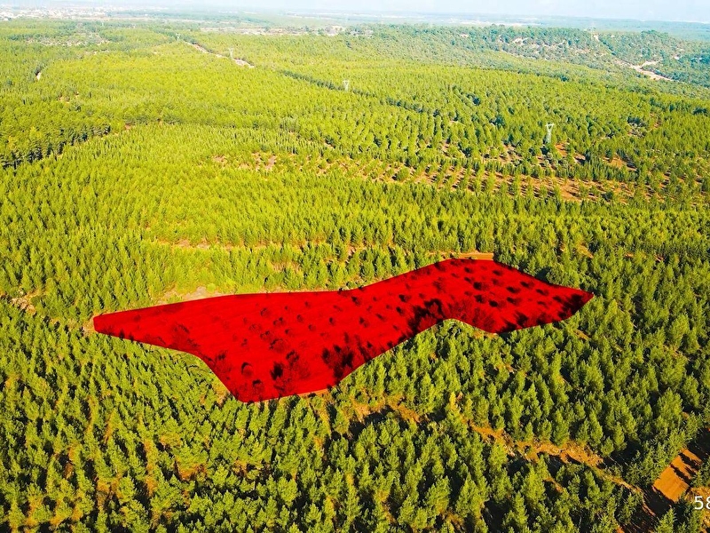 Kepez varsak'da duaci i̇le bi̇ti̇şi̇k düz kadastral yolu tarla