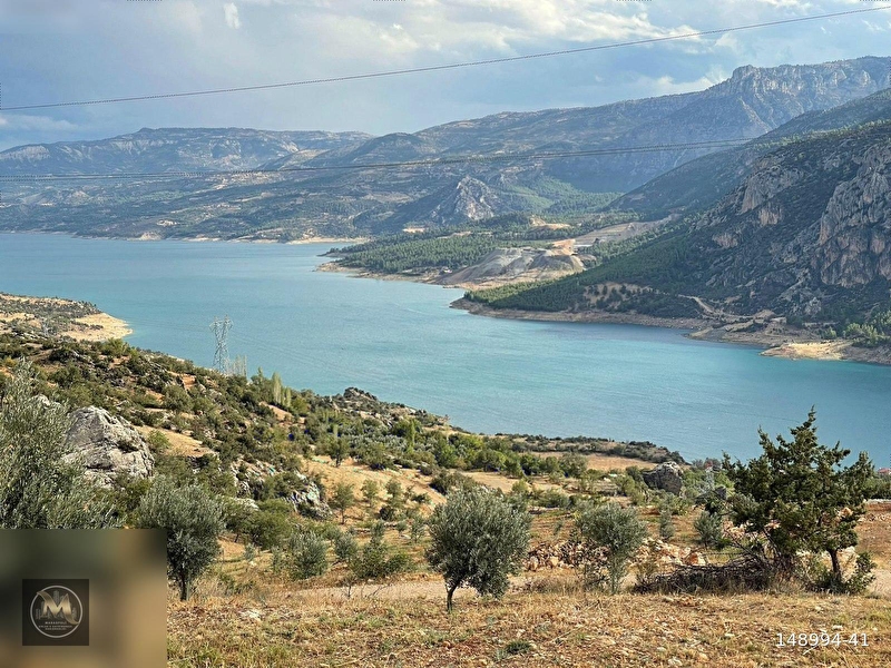 Güneyyurt aralik zeyti̇n bahçesi̇ 4.200m2 - tarla