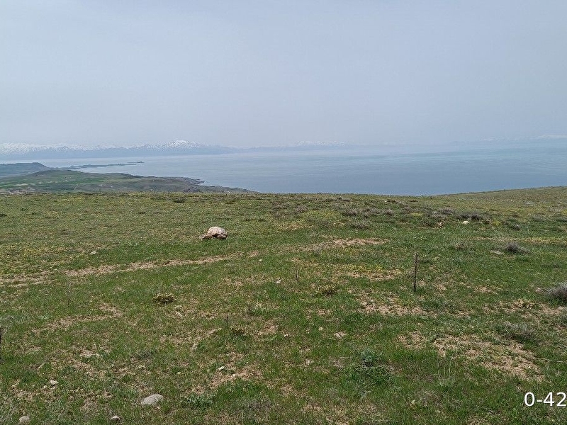 Satılık göl manzaralı tarla