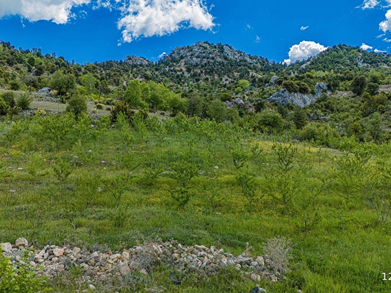 Antalya kuzca'da satılık tarla