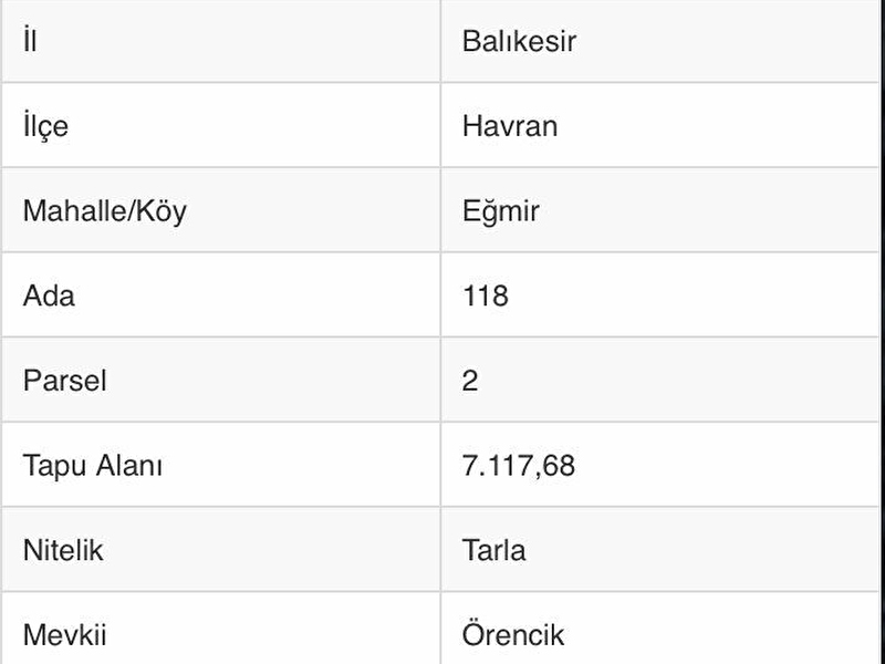 Edremi̇t körfezi̇ havran i̇lçesi̇nde 240 adet fistik çami bulunan 7 dönüm tarla