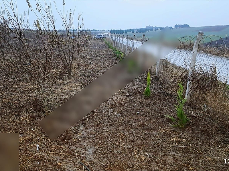 Çorlu yoluna cephe 3300m2 tarla #evi̇myapi̇gayri̇menkul