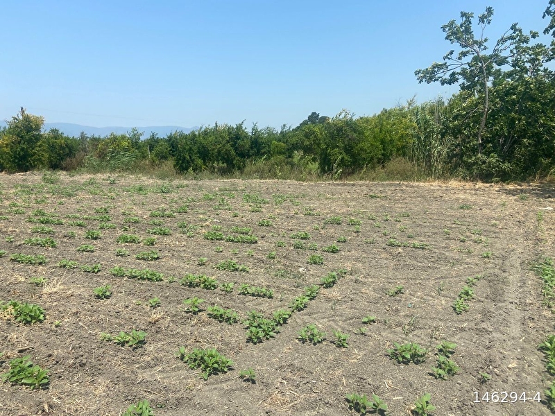 Nysa emlak’tan eski̇köy mh 20.000 m2 şahsi̇ tapu satilik tarla