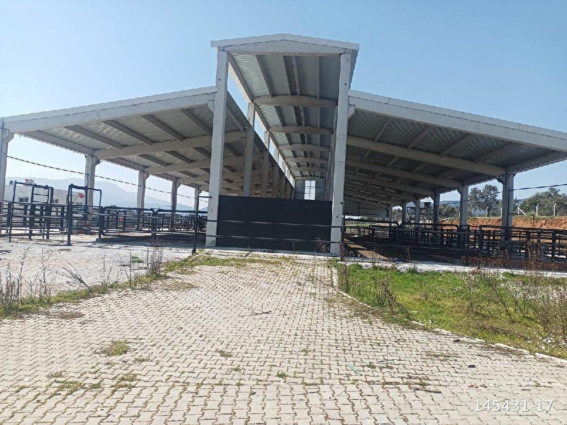 Satılık çiftlik