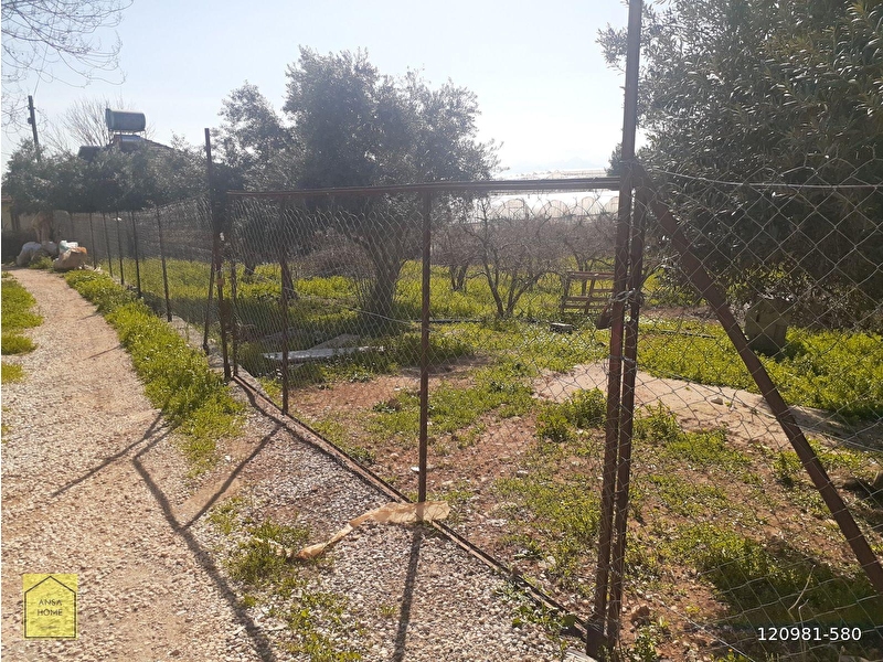 Antalya kepez gazi̇lerde 4300m2 tel i̇le çevri̇li̇ satilik nar bahçesi̇ ve evi̇