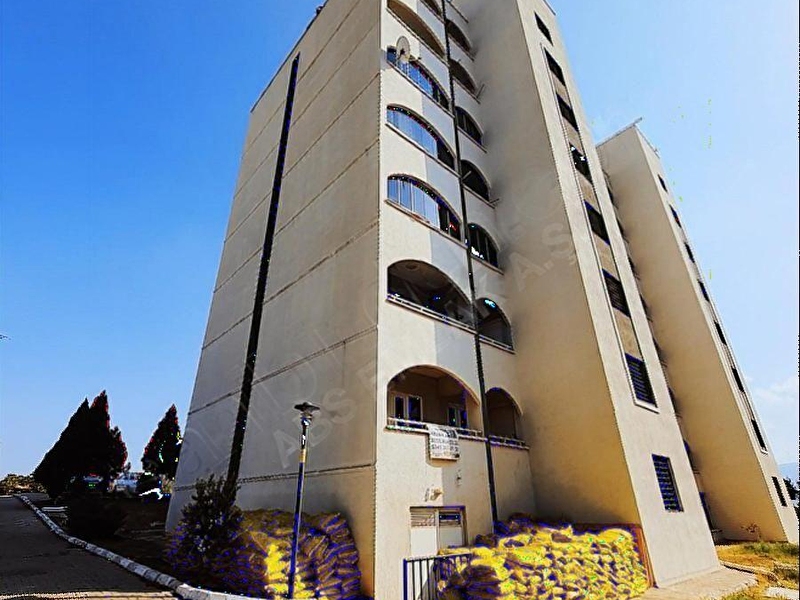 Di̇di̇m toki̇lerde satilik kelepi̇r dai̇re