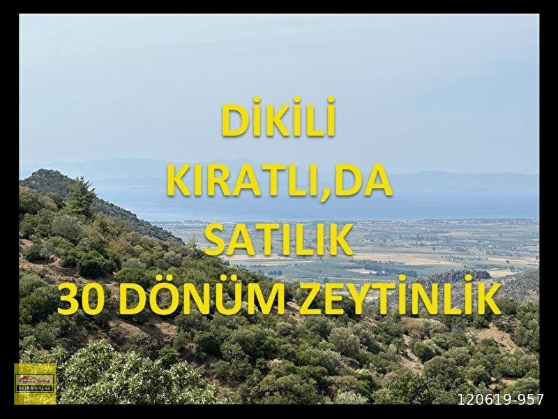Di̇ki̇li̇ kiratli,da deni̇z manzarali satilik otuz dönüm zeyti̇nli̇k