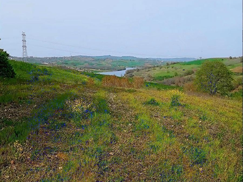 Selimköy'de müstakil tapulu 27.500 m2 yatırımlık satılık tarla