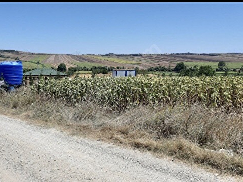 280 000 Tl Silivri Canta Resmi Yol Cepeli 1800m2 Mustakil Tarla