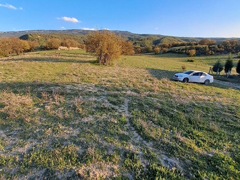Safranbolu  karit koyunde satilik 540 m² tarla