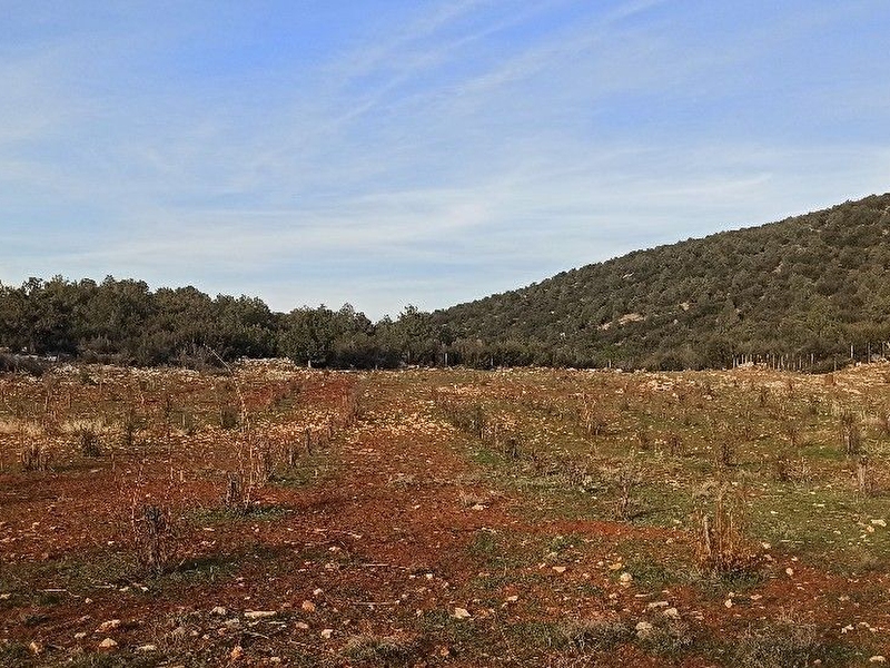 Uygun fi̇yatli tarla 13.400m²